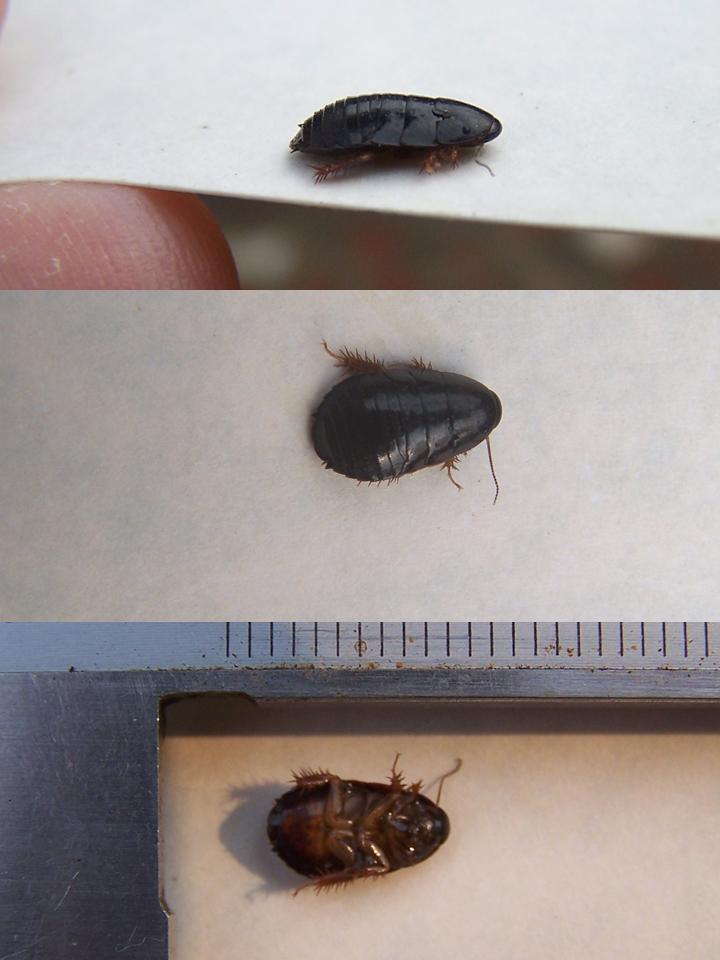 FIGURE 3 FIGURE 3